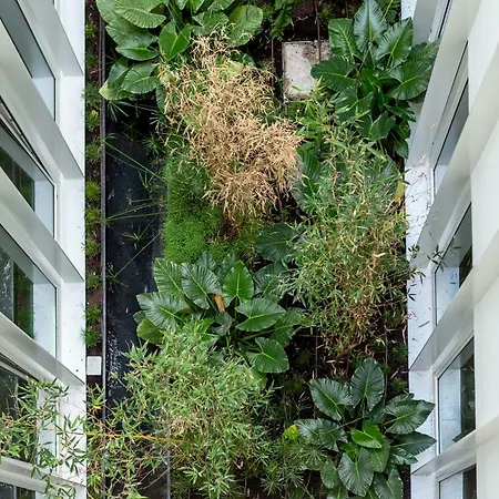 Apartament Whome | Ribeira 11 Design