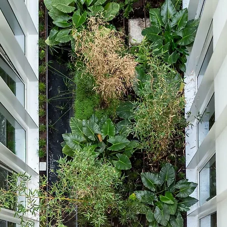 Apartman Whome | Ribeira 11 Design