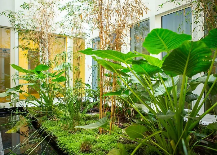 Whome | Ribeira 11 Design